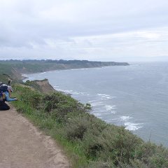 GirlsWildCat 006 : GirlsWildCat